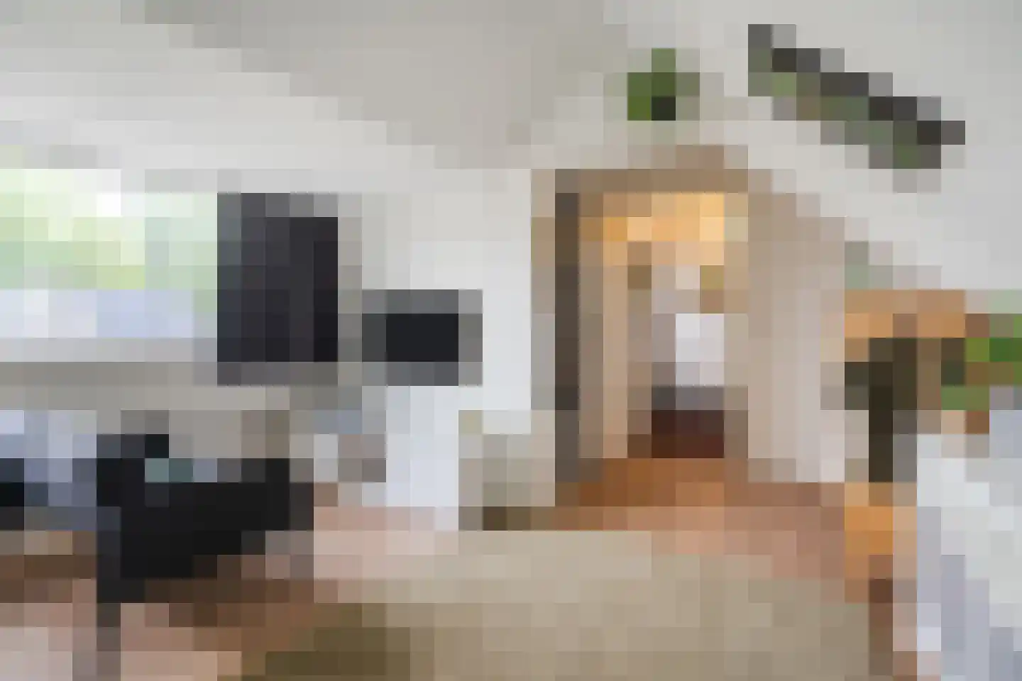 Biezenstraat 8 Geldrop thumbnail 55