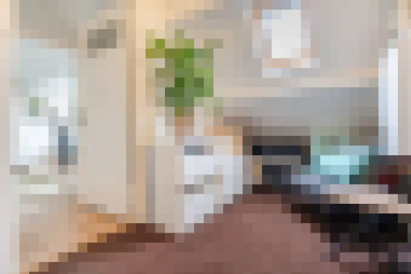 Biezenstraat 8 Geldrop thumbnail 56