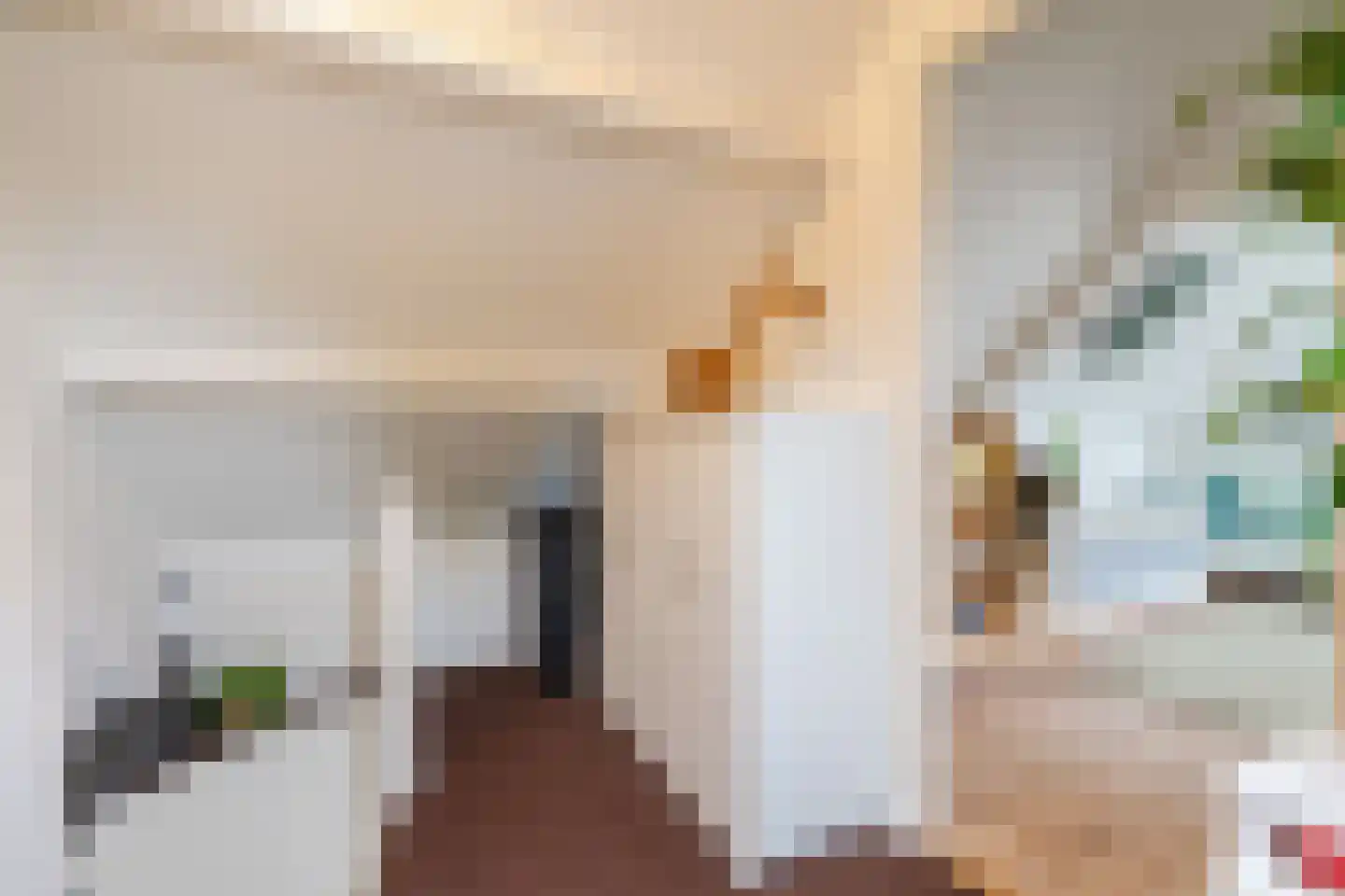 Biezenstraat 8 Geldrop thumbnail 57