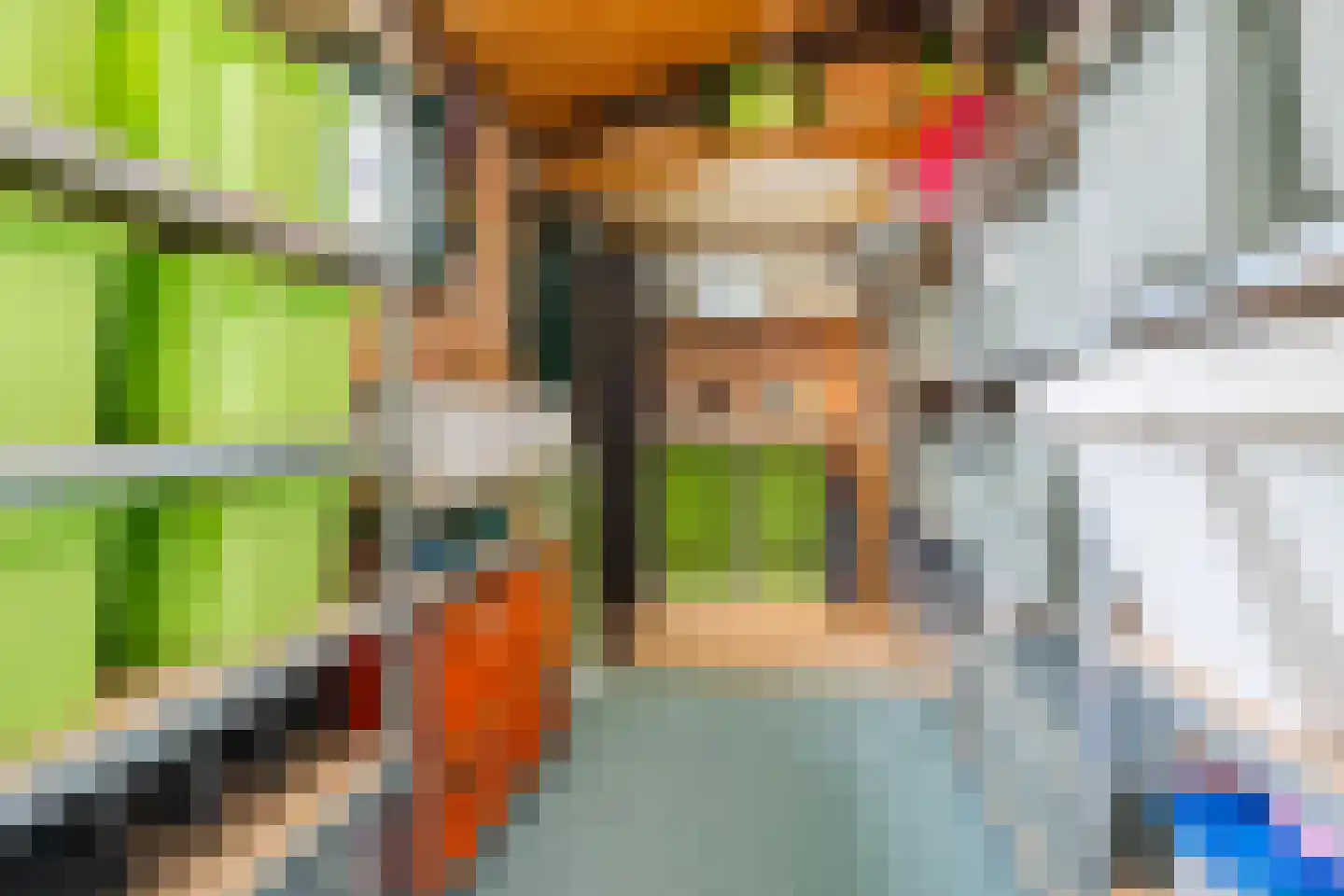 Biezenstraat 8 Geldrop thumbnail 65