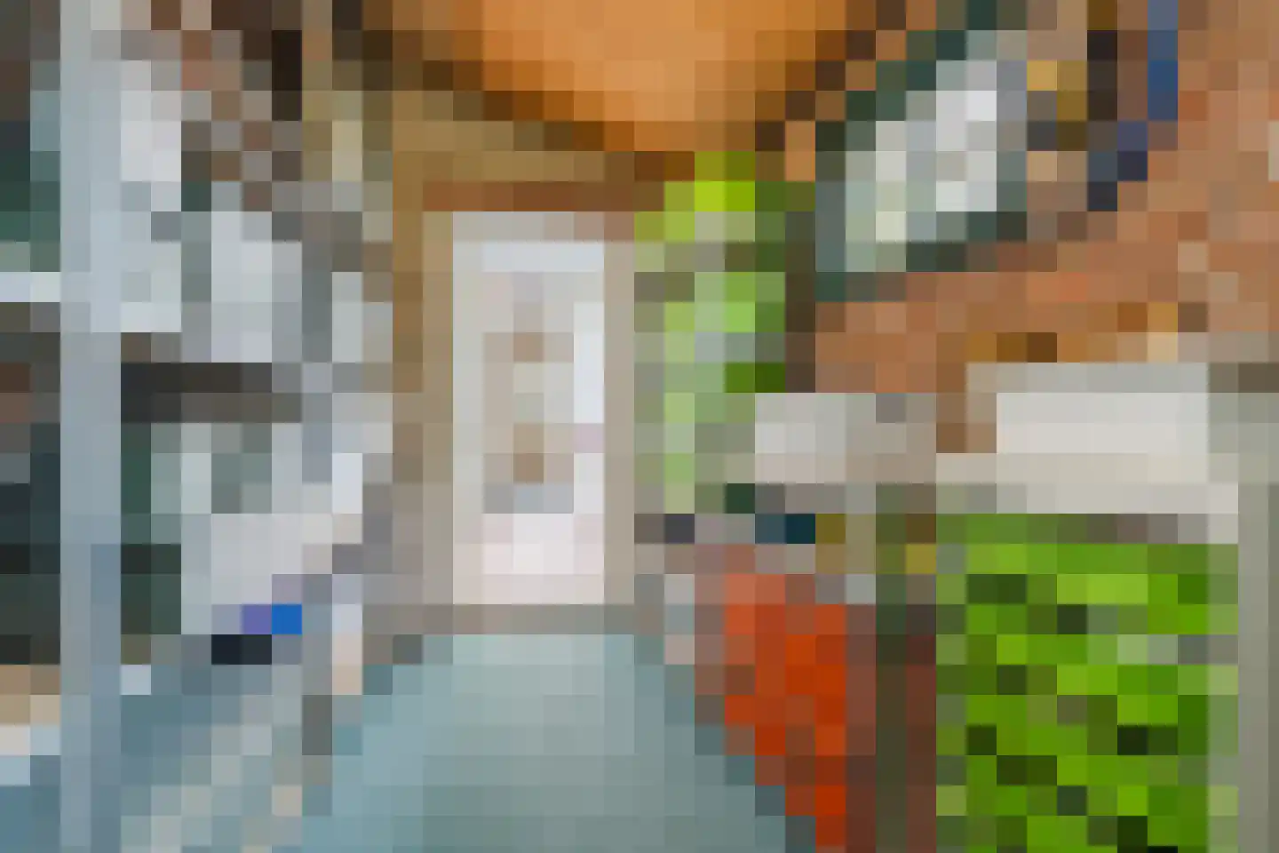 Biezenstraat 8 Geldrop thumbnail 66