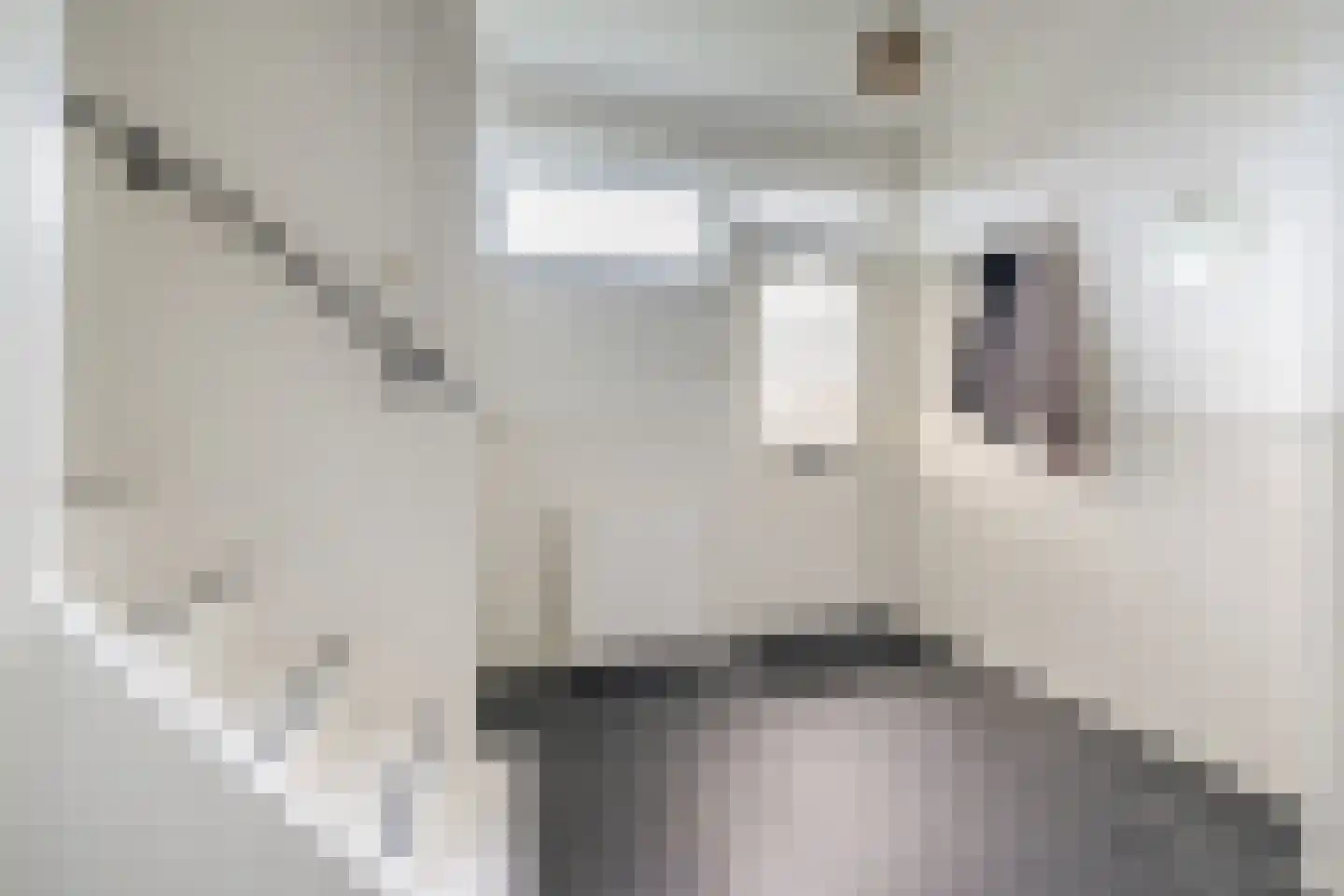 Biezenstraat 8 Geldrop thumbnail 8