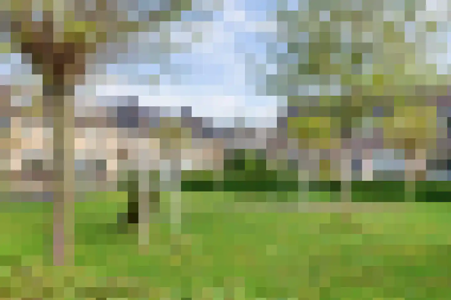 Biezenveld 11 Puttershoek thumbnail 33