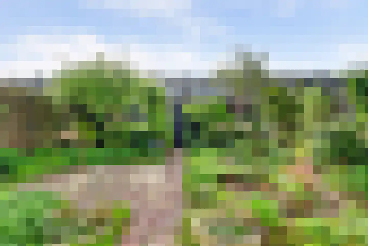 Biezenveld 11 Puttershoek thumbnail 4