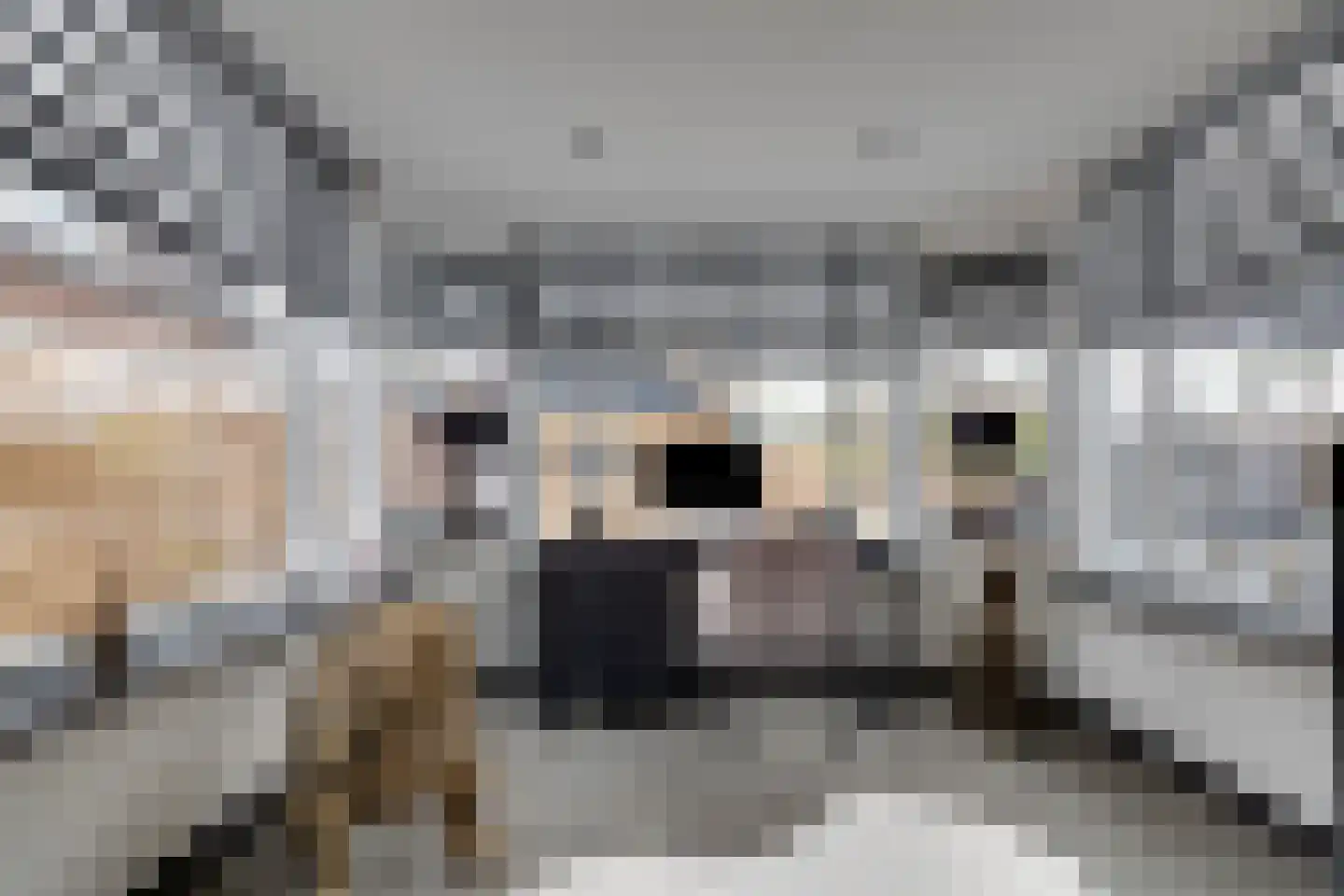 Biezenveld 30 Assen thumbnail 16