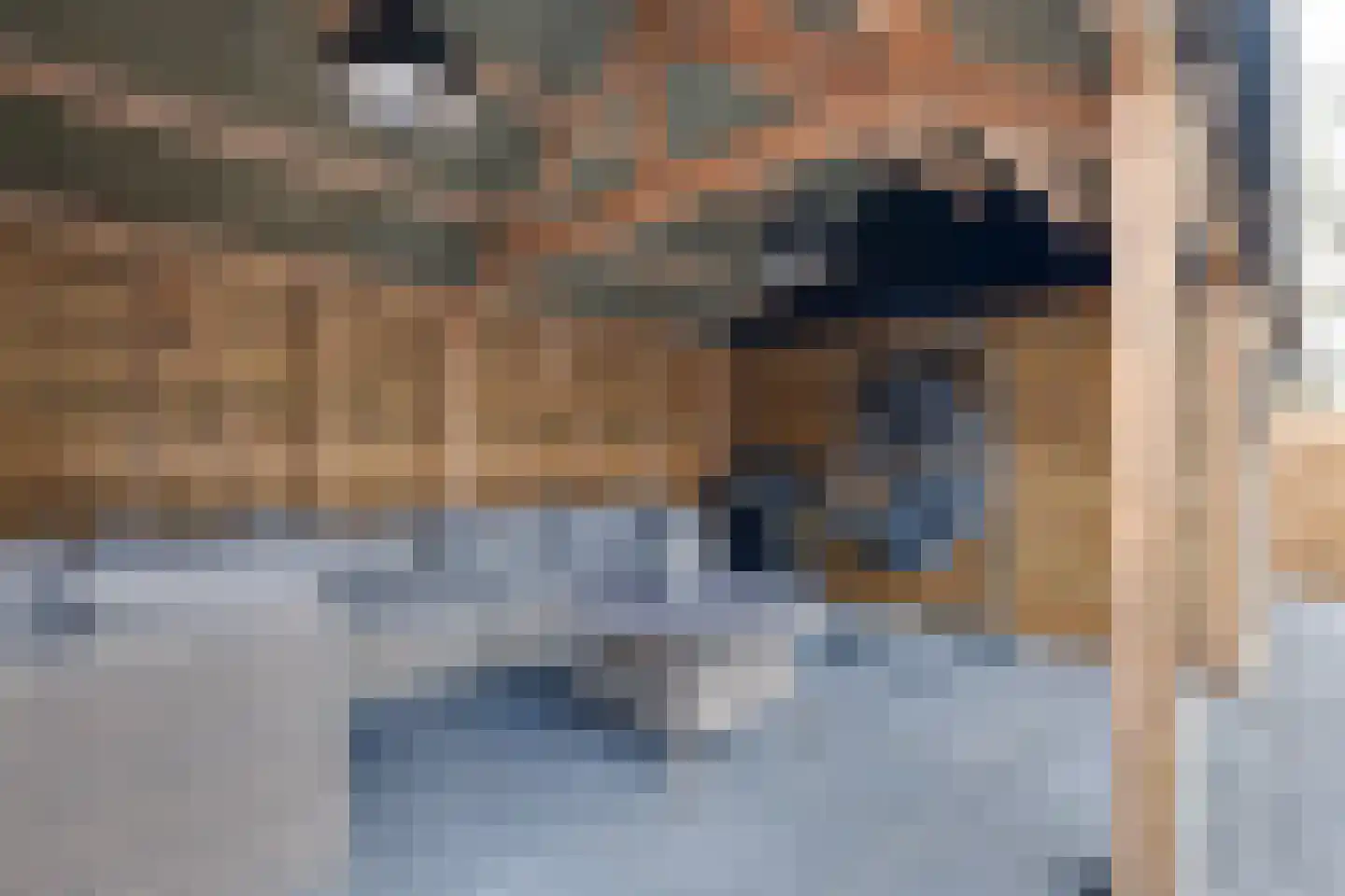 Biezenveld 30 Assen thumbnail 33