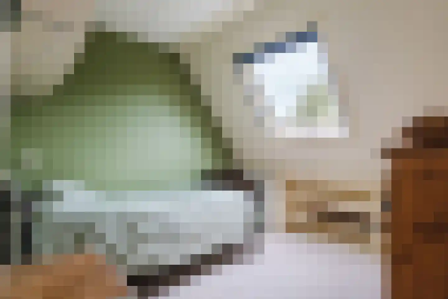 Biezenveld 5 Assen thumbnail 31