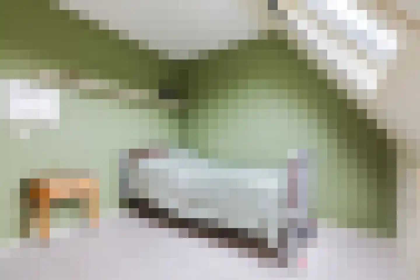 Biezenveld 5 Assen thumbnail 32