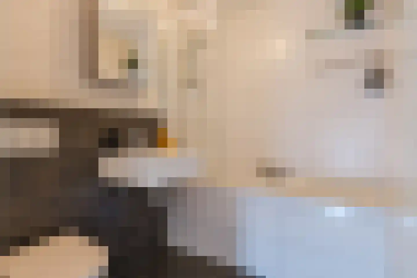 Biezenveld 5 Assen thumbnail 35