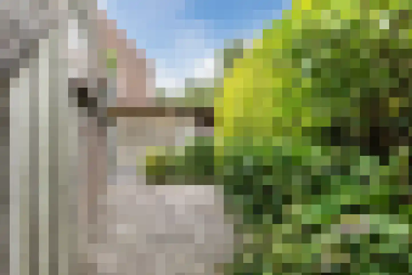 Biezenveld 5 Assen thumbnail 53