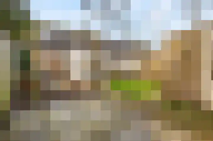 Biezenveld 8 Meppel thumbnail 28