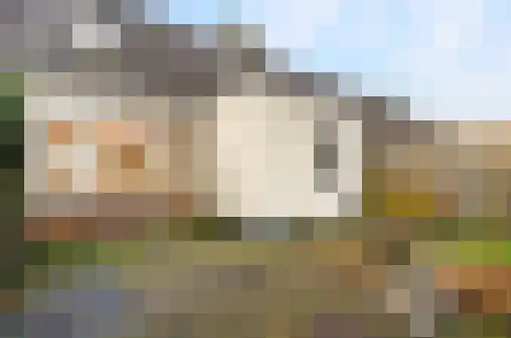 Biezenveld 8 Meppel thumbnail 29