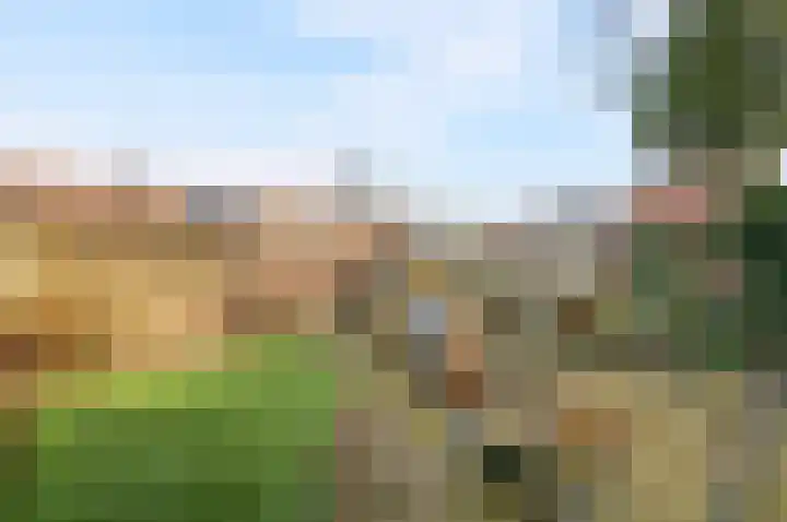 Biezenveld 8 Meppel thumbnail 30