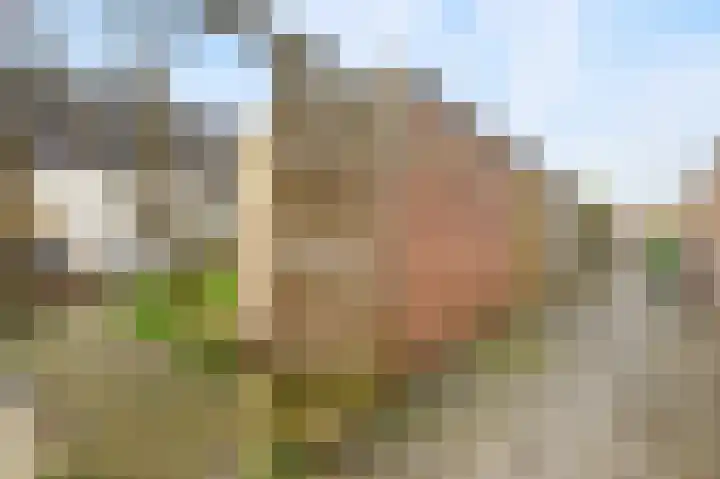 Biezenveld 8 Meppel thumbnail 32