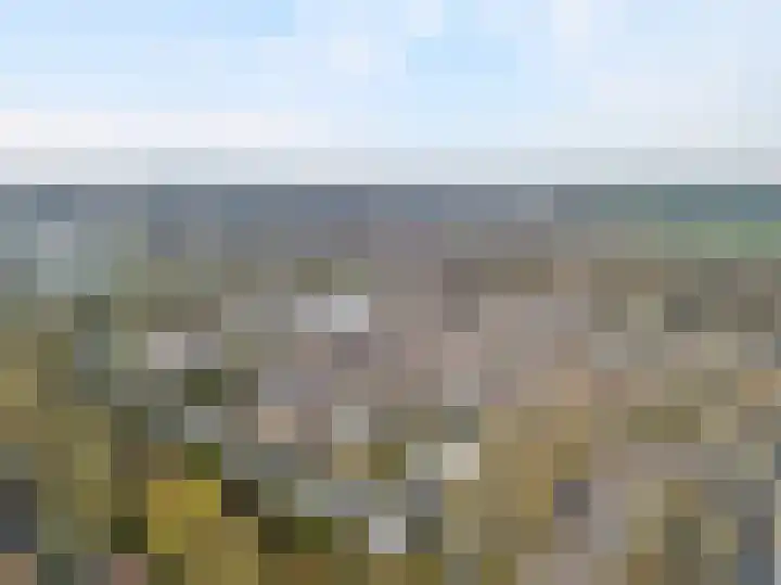 Biezenveld 8 Meppel thumbnail 6