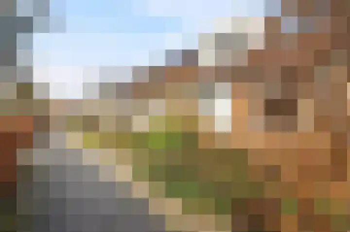 Biezenveld 8 Meppel thumbnail 9