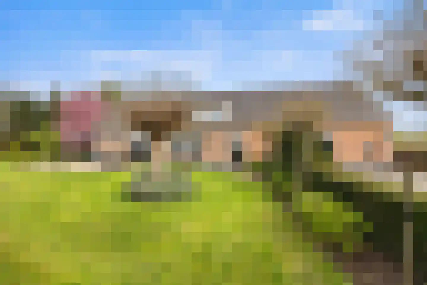 Biezenwaard 4 Winssen