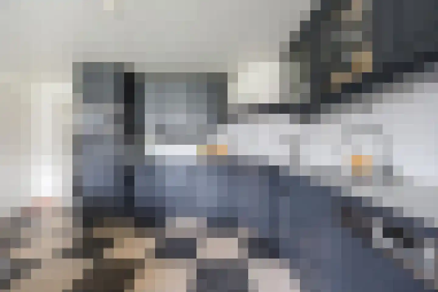 Biezenwaard 4 Winssen thumbnail 10