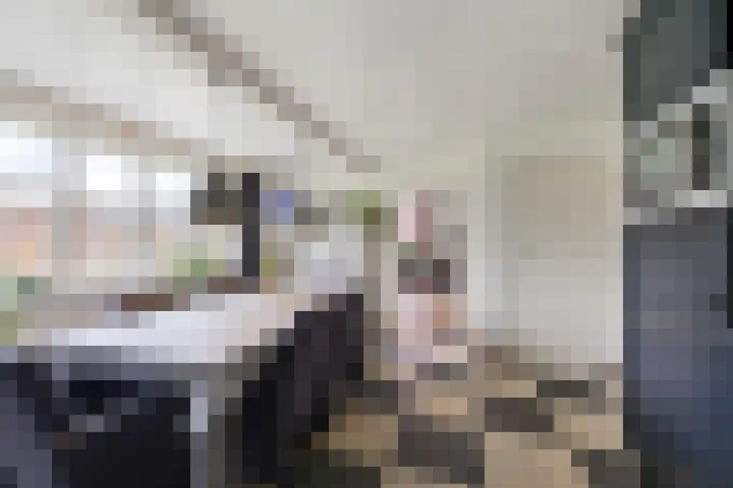 Biezenwaard 4 Winssen thumbnail 11