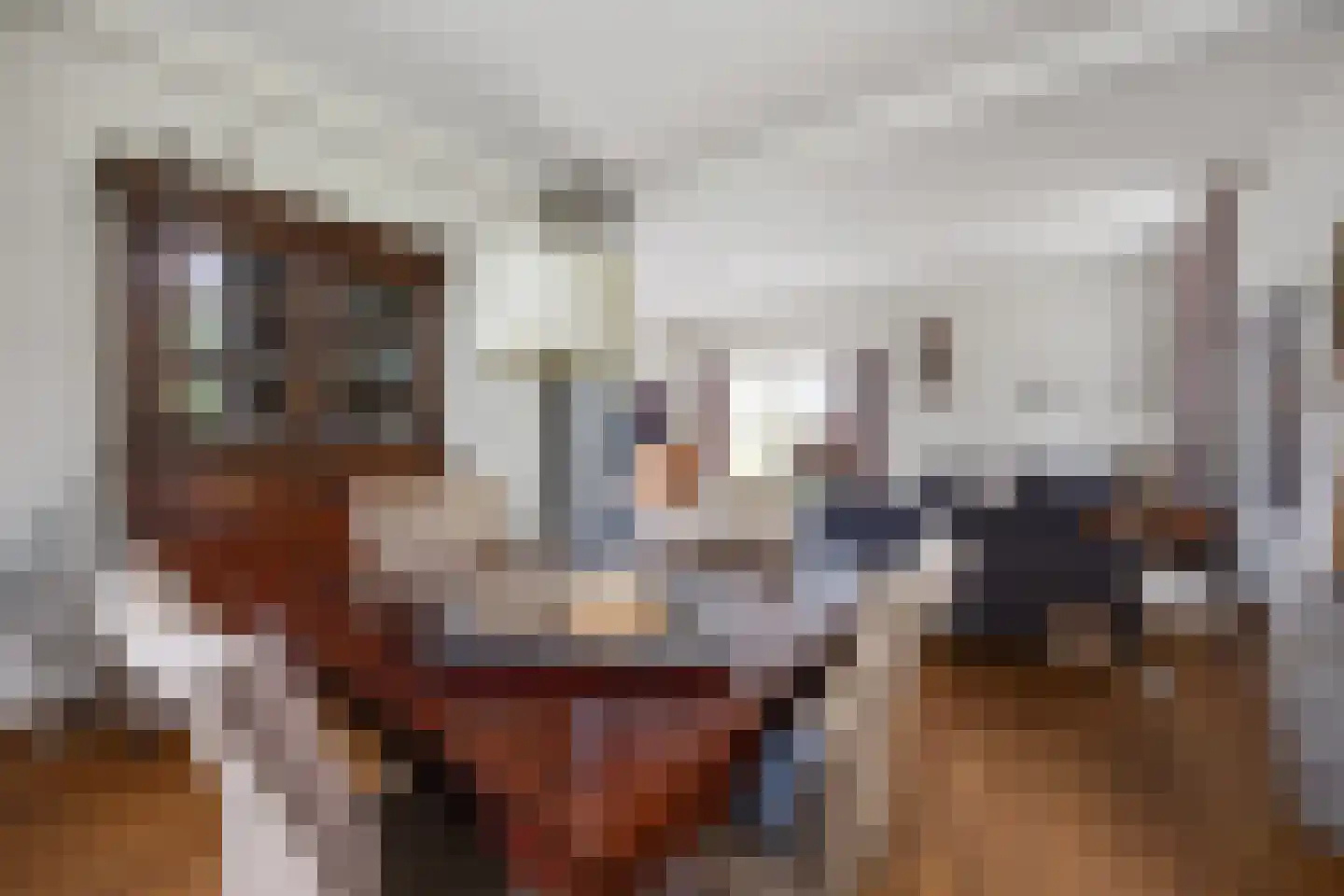 Biezenwaard 4 Winssen thumbnail 18