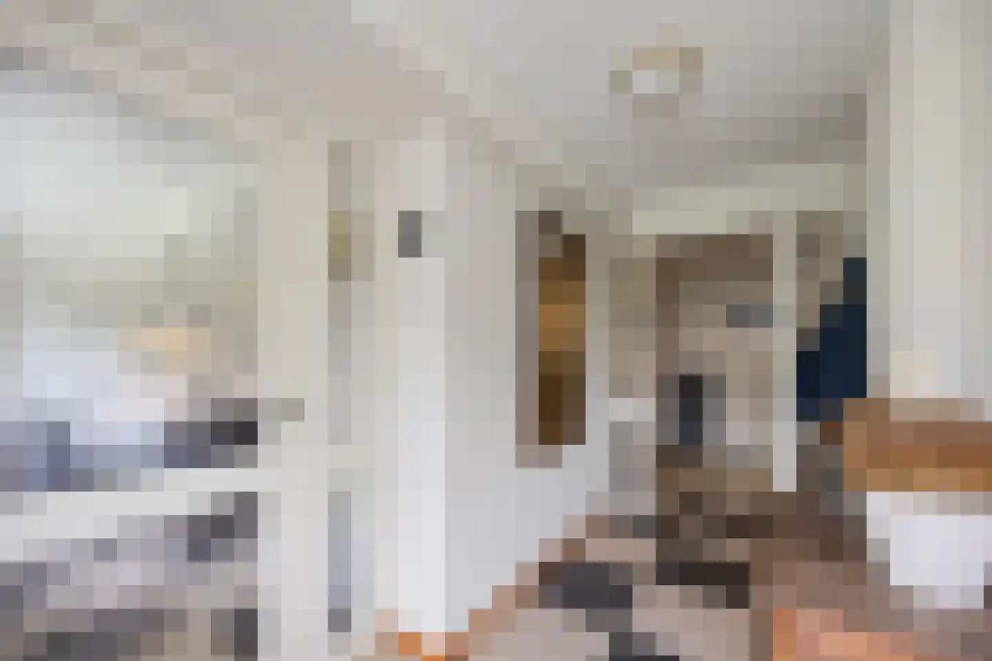 Biezenwaard 4 Winssen thumbnail 20