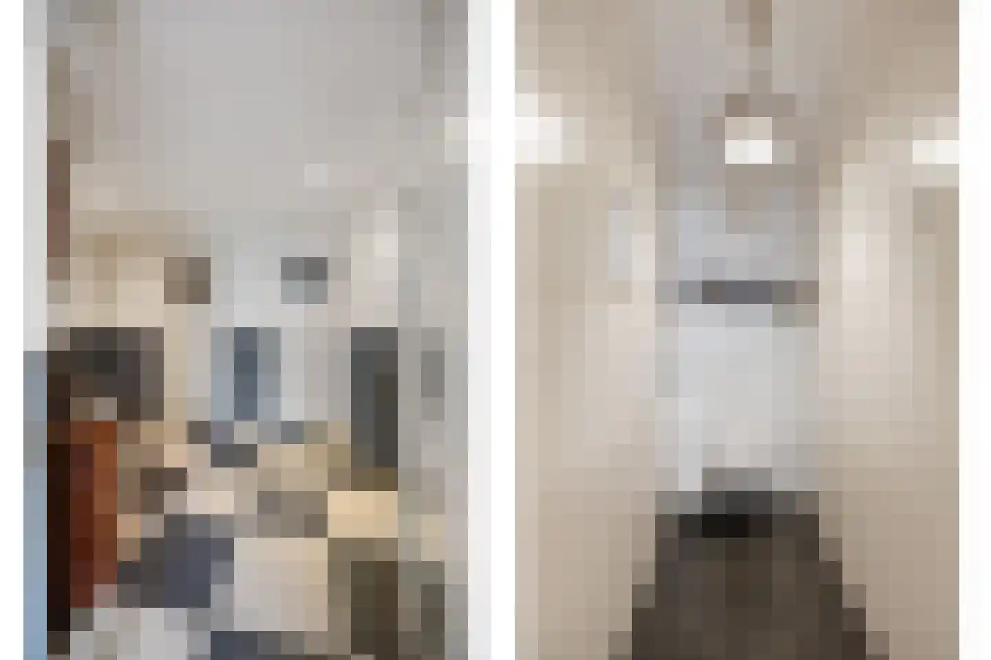 Biezenwaard 4 Winssen thumbnail 27