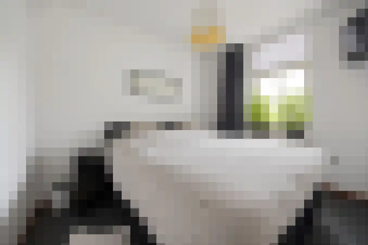 Biezenwaard 4 Winssen thumbnail 28