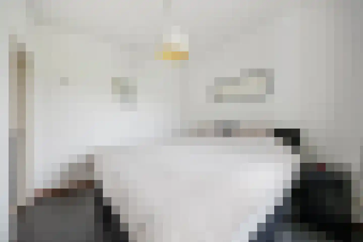 Biezenwaard 4 Winssen thumbnail 29