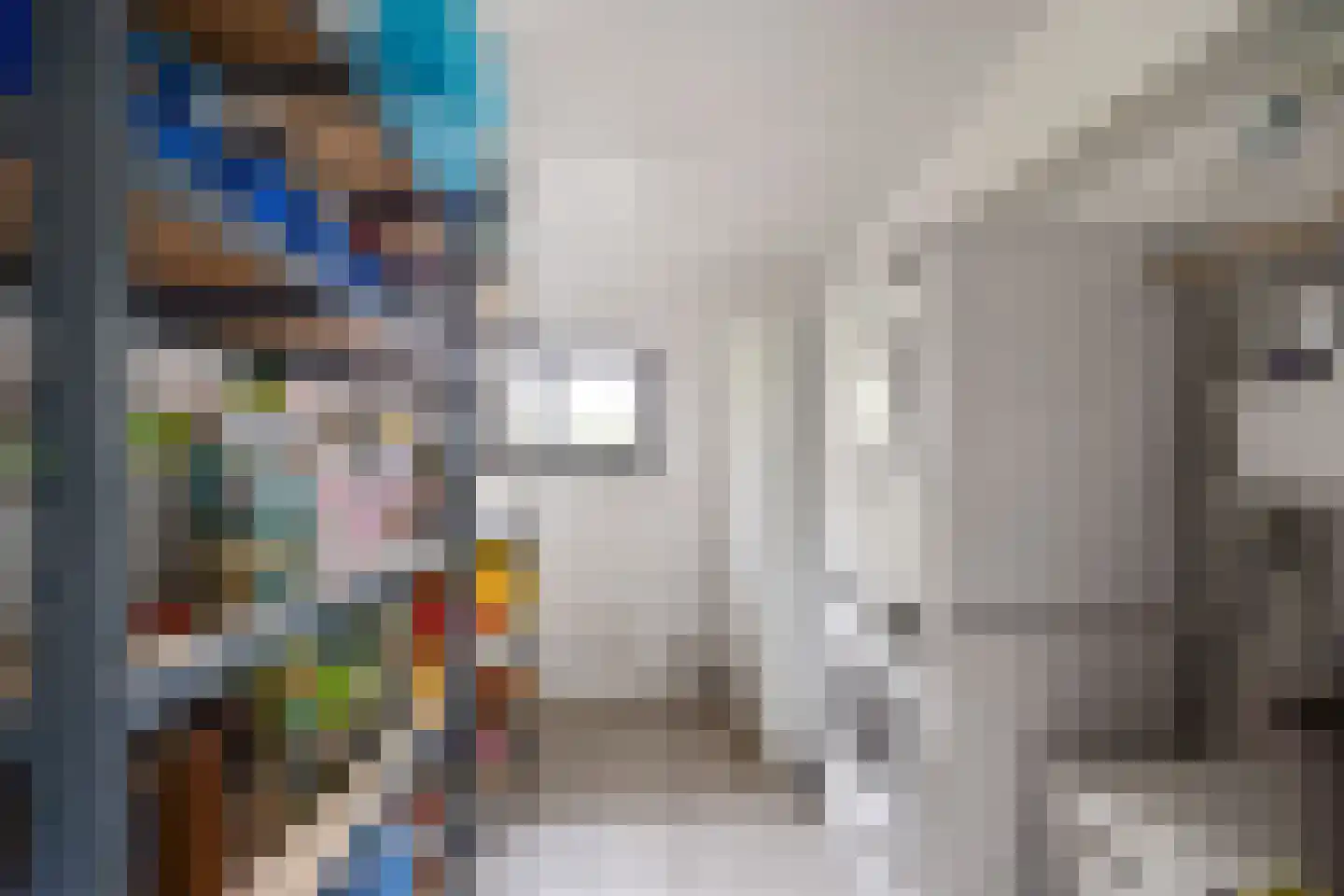 Biezenwaard 4 Winssen thumbnail 32