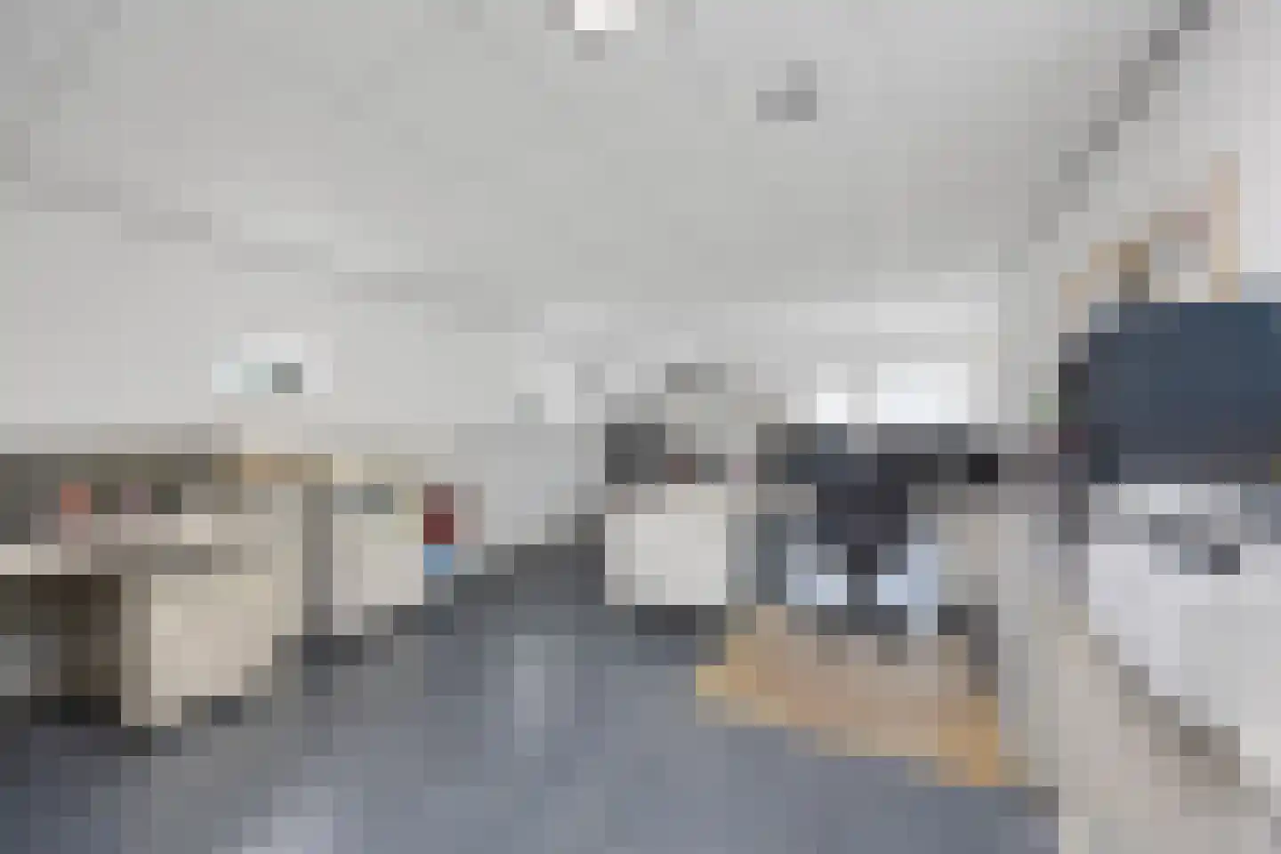 Biezenwaard 4 Winssen thumbnail 38