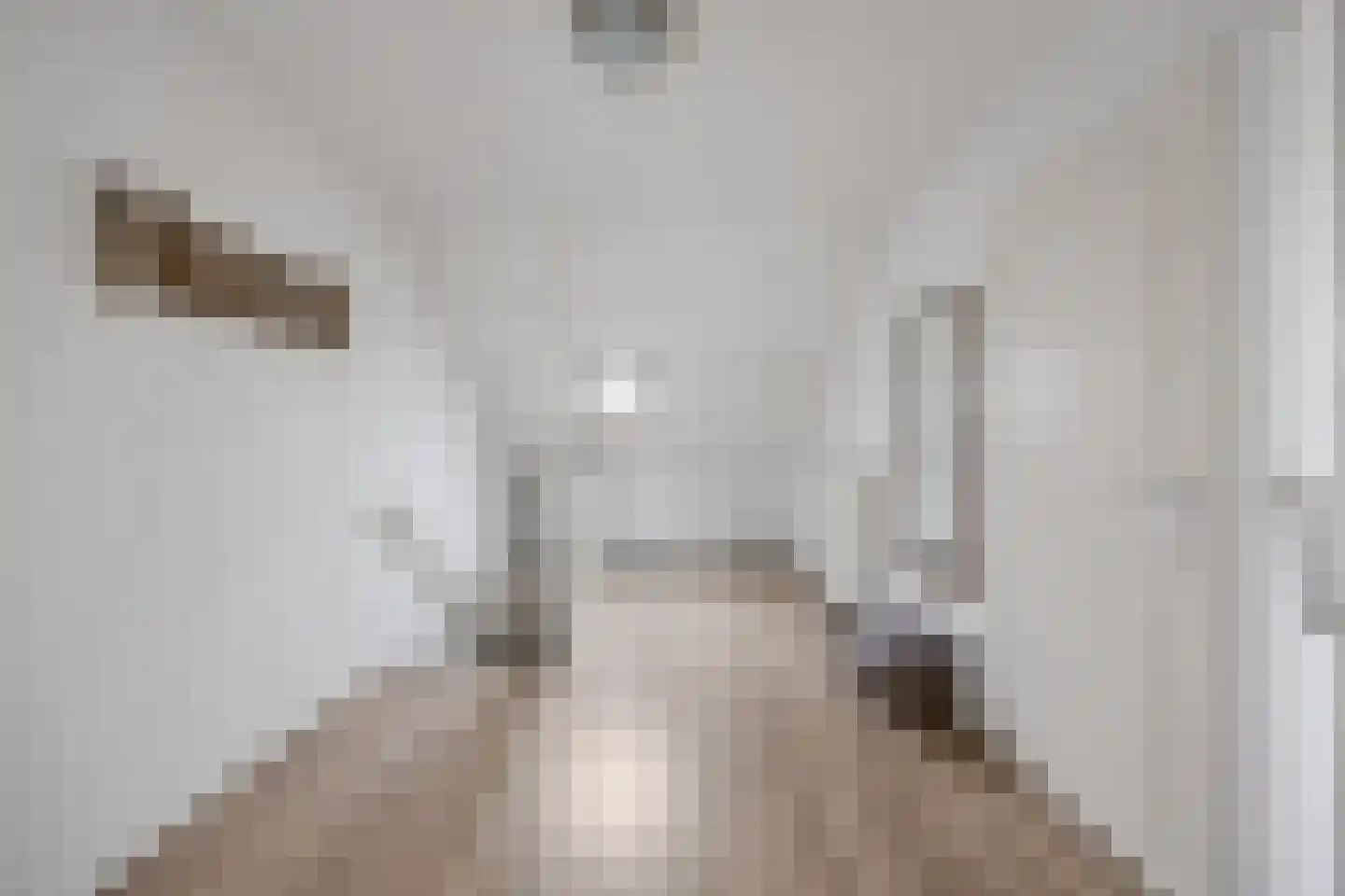 Biezenwaard 4 Winssen thumbnail 46