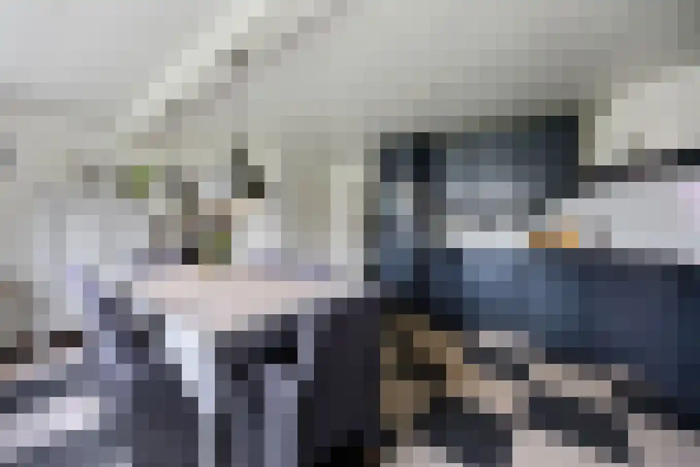 Biezenwaard 4 Winssen thumbnail 5