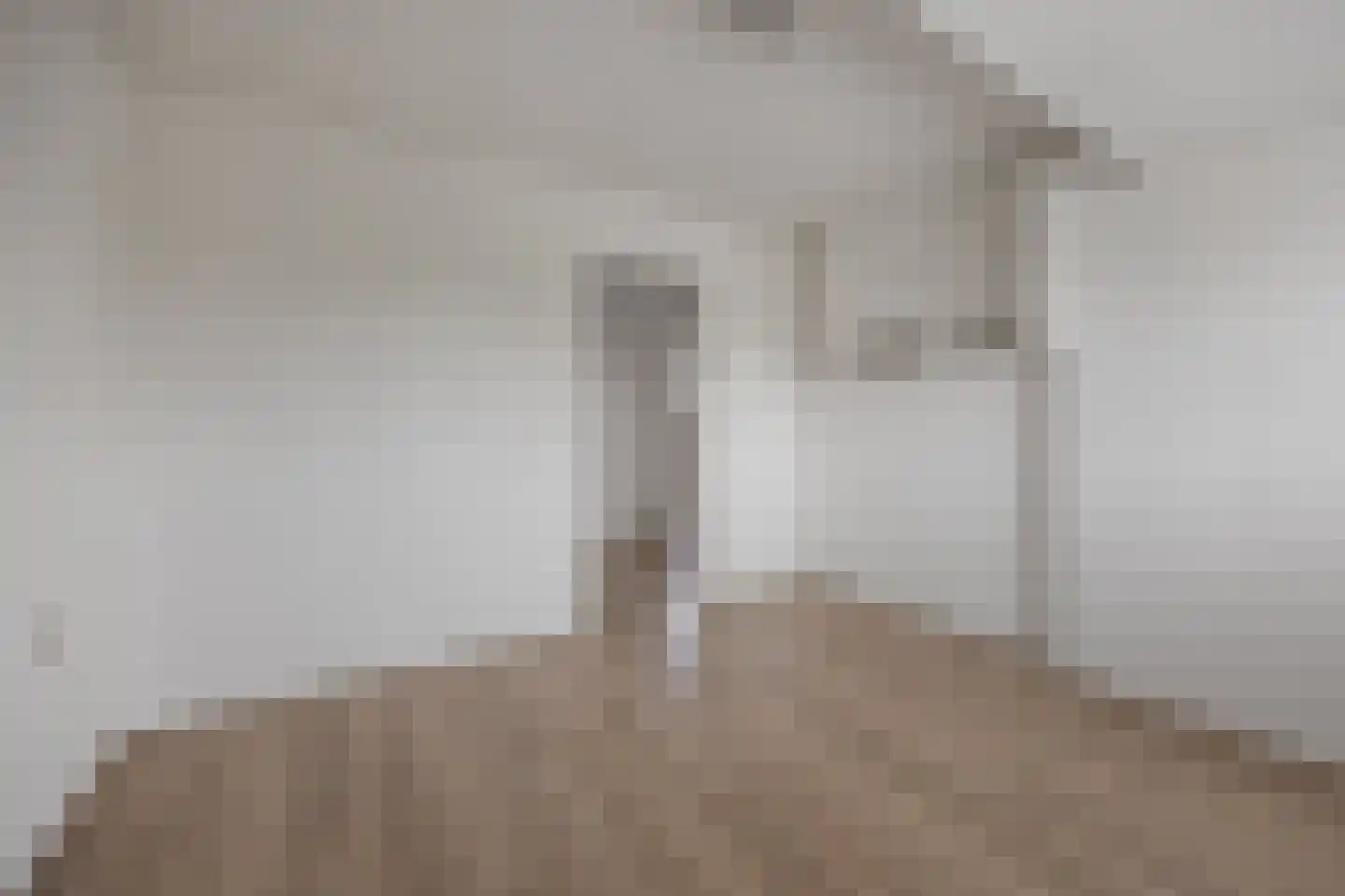 Biezenwaard 4 Winssen thumbnail 57