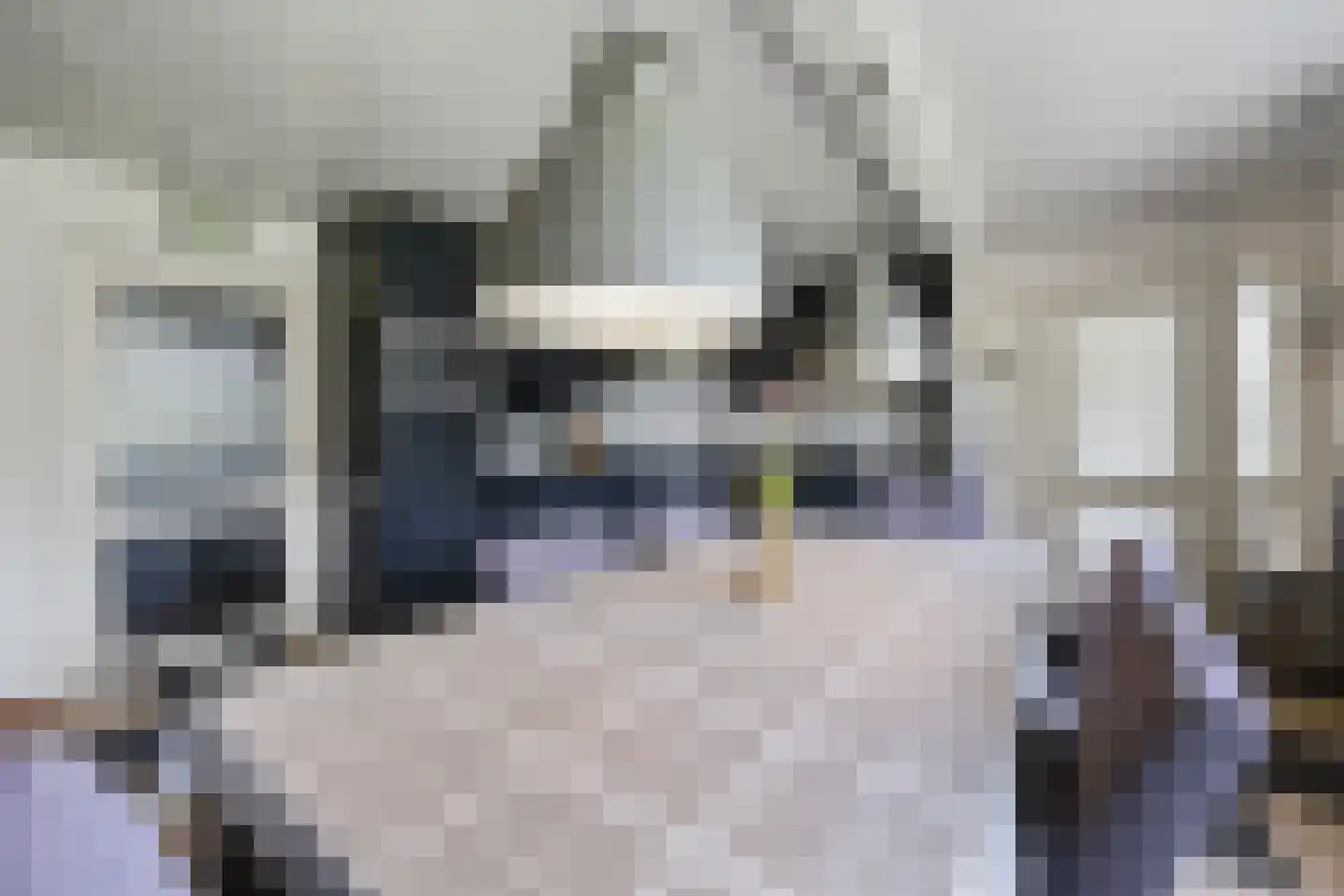 Biezenwaard 4 Winssen thumbnail 6