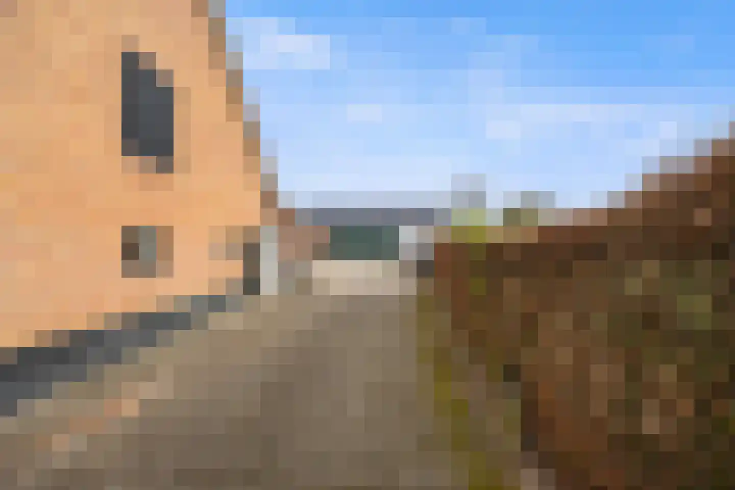 Biezenwaard 4 Winssen thumbnail 62