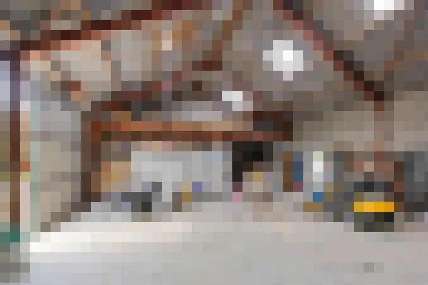 Biezenwaard 4 Winssen thumbnail 65