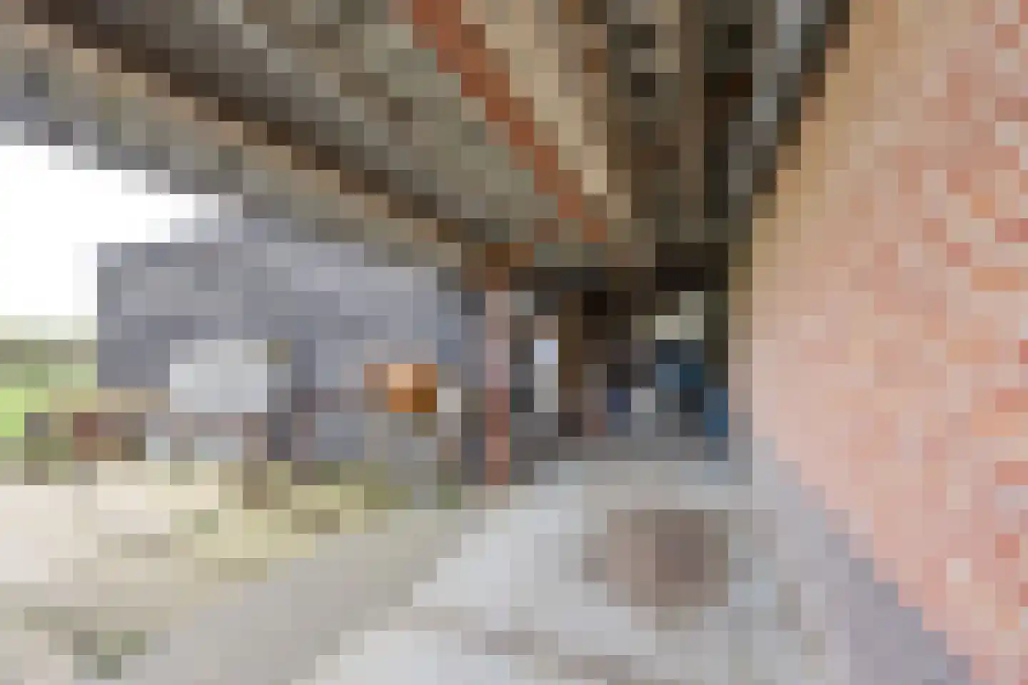 Biezenwaard 4 Winssen thumbnail 66