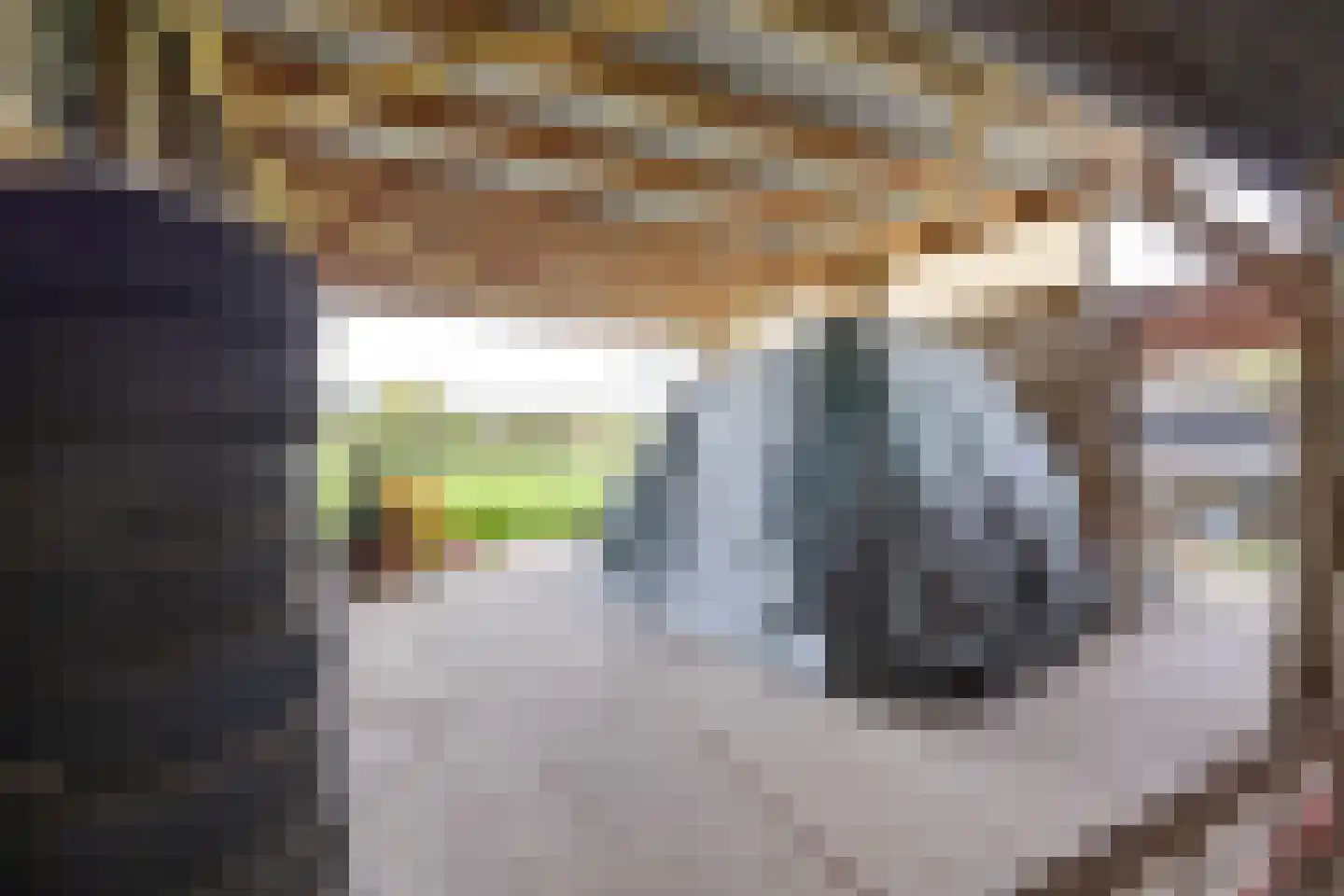 Biezenwaard 4 Winssen thumbnail 67