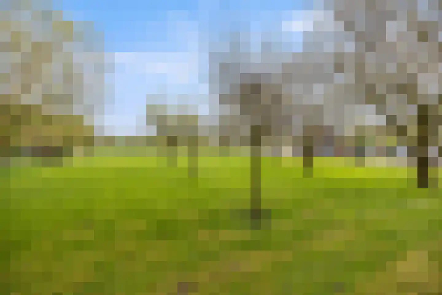 Biezenwaard 4 Winssen thumbnail 69