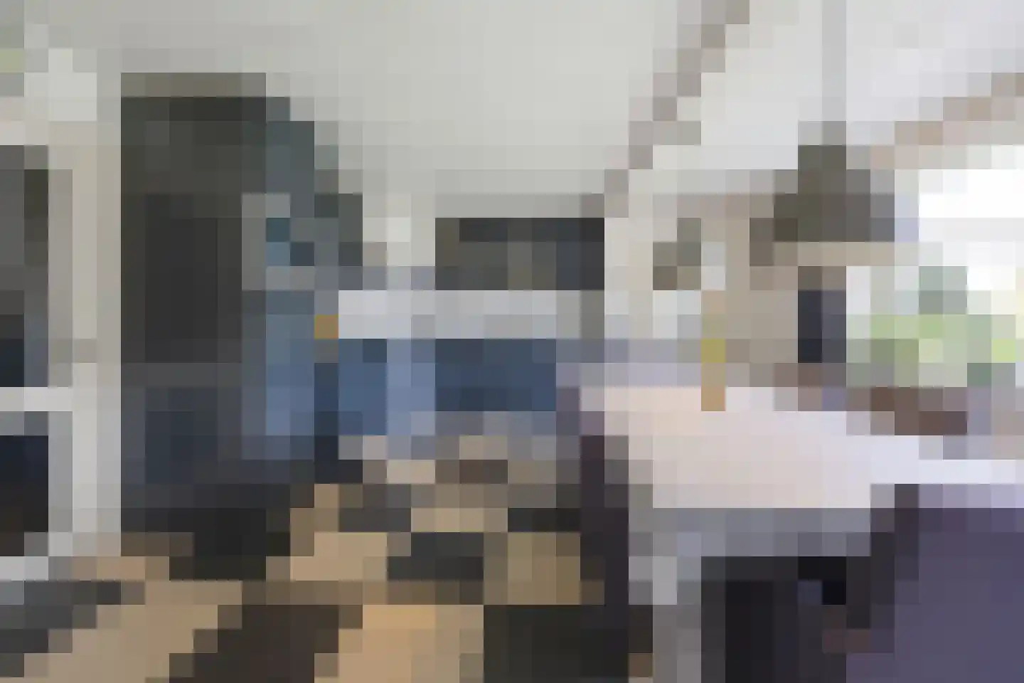 Biezenwaard 4 Winssen thumbnail 7