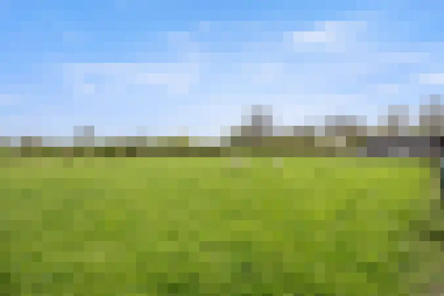 Biezenwaard 4 Winssen thumbnail 70