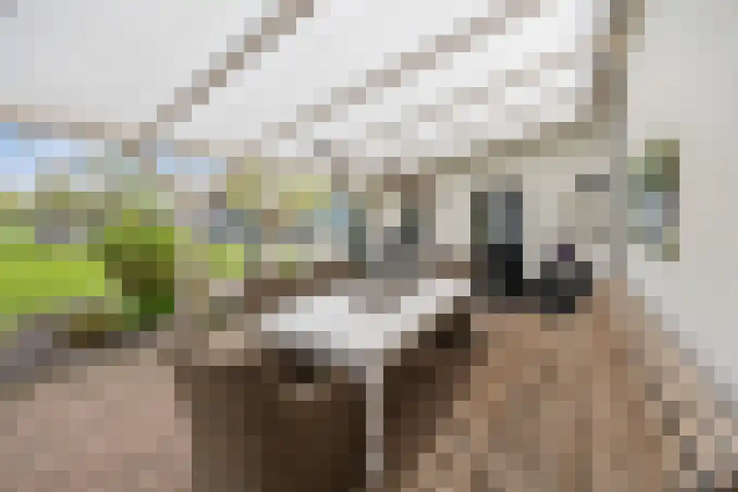 Biezenwaard 4 Winssen thumbnail 75