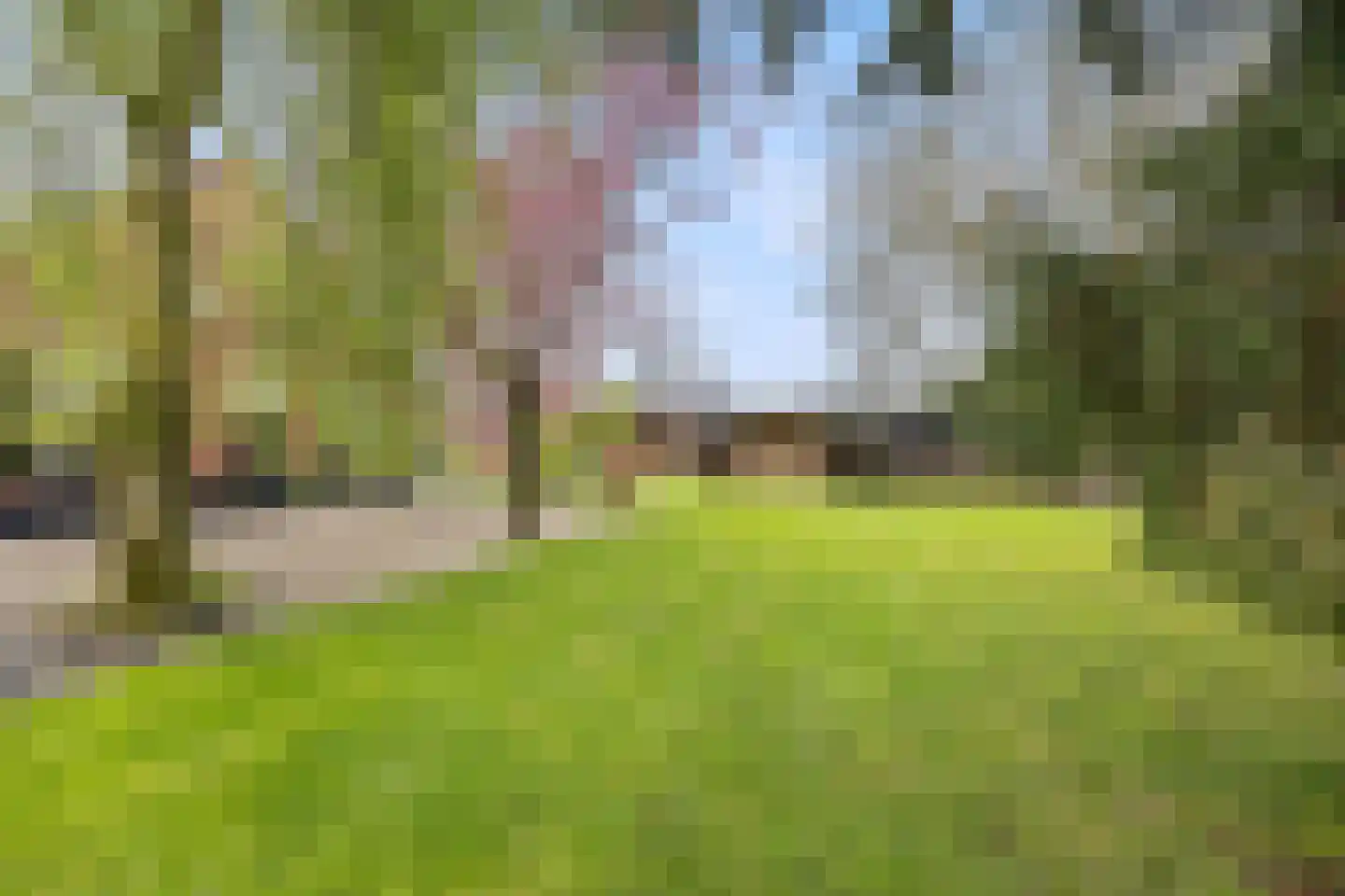 Biezenwaard 4 Winssen thumbnail 78