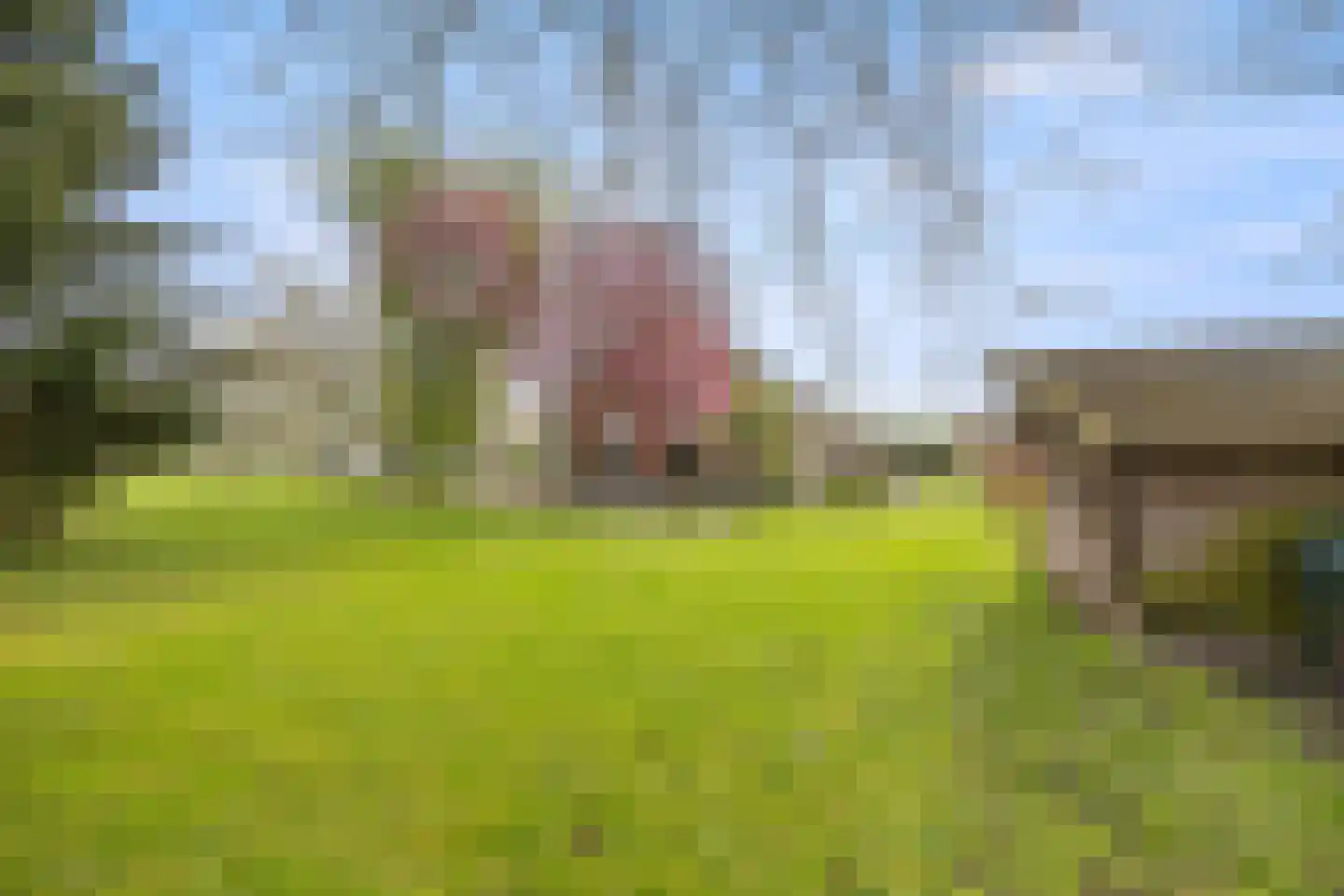 Biezenwaard 4 Winssen thumbnail 79