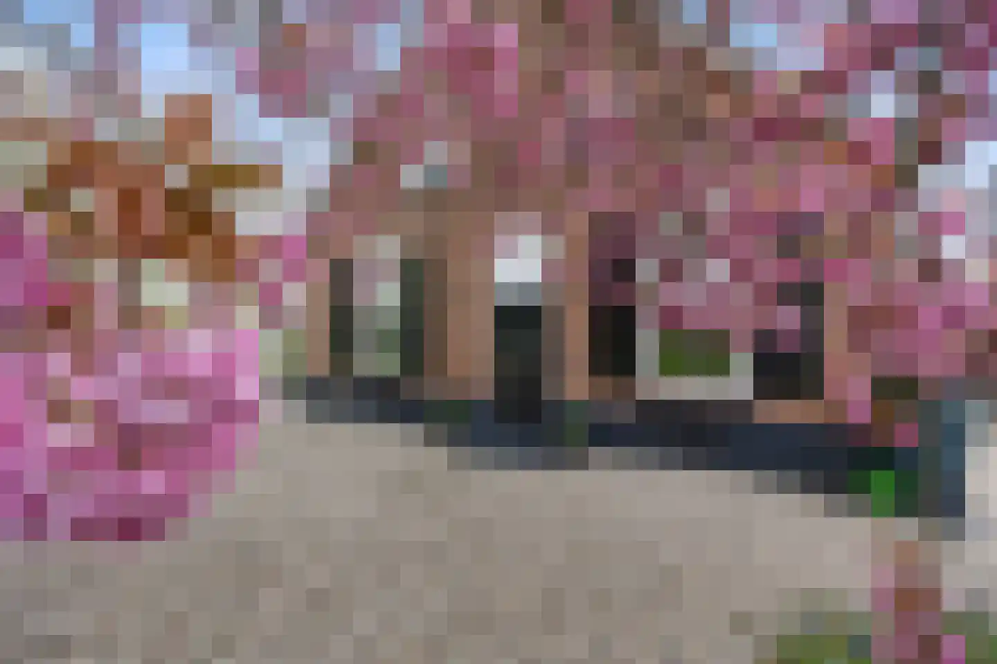 Biezenwaard 4 Winssen thumbnail 80
