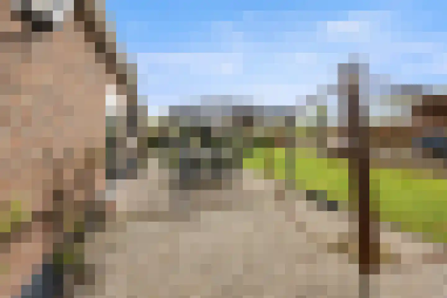 Biezenwaard 4 Winssen thumbnail 83