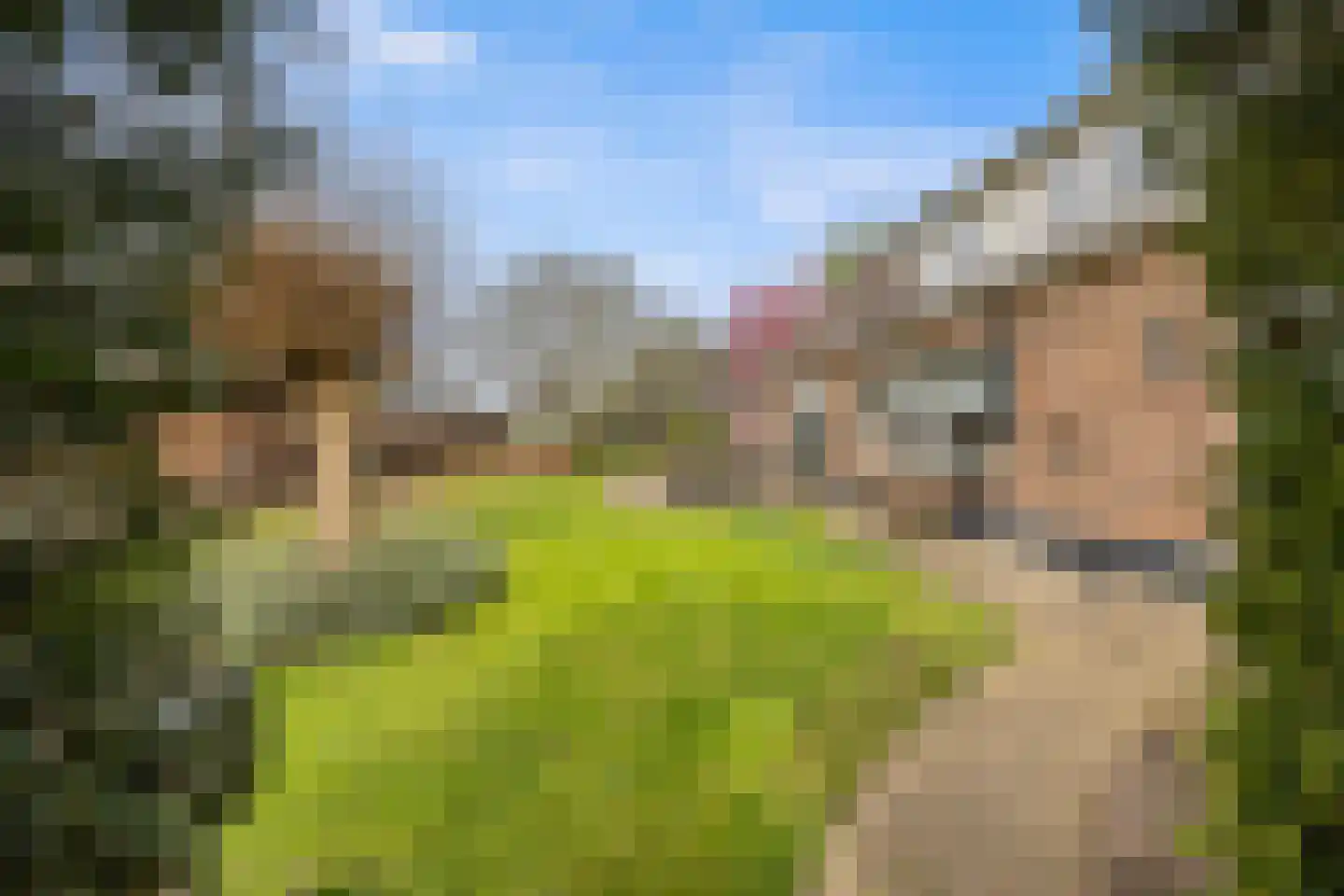 Biezenwaard 4 Winssen thumbnail 84