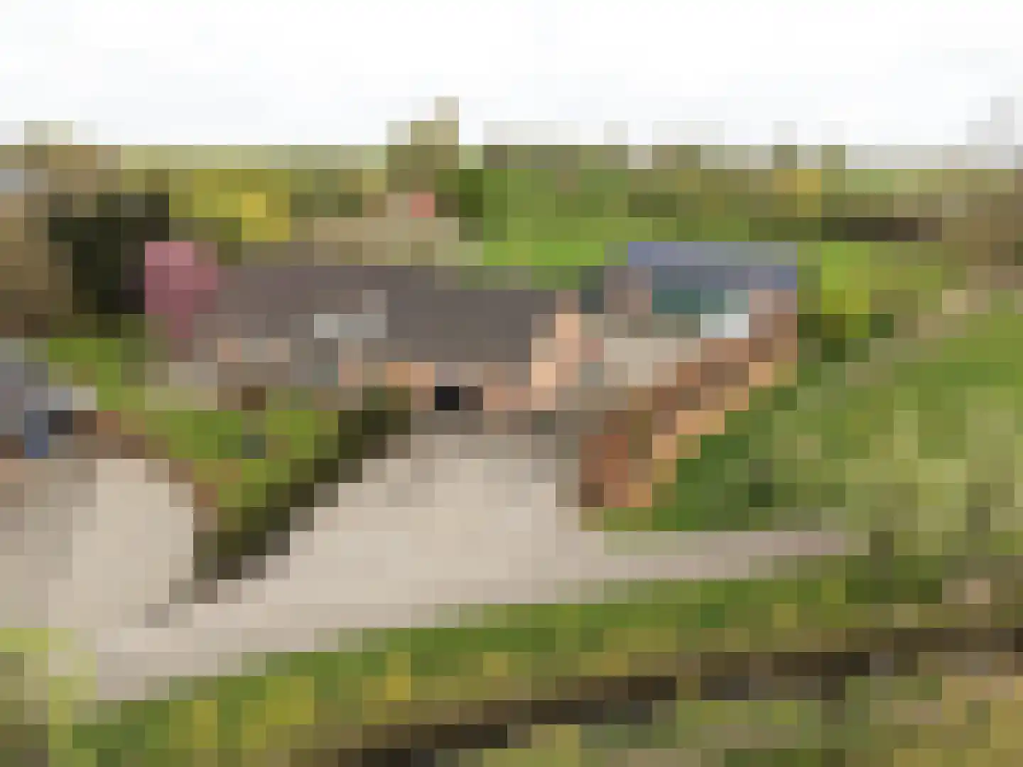 Biezenwaard 4 Winssen thumbnail 89