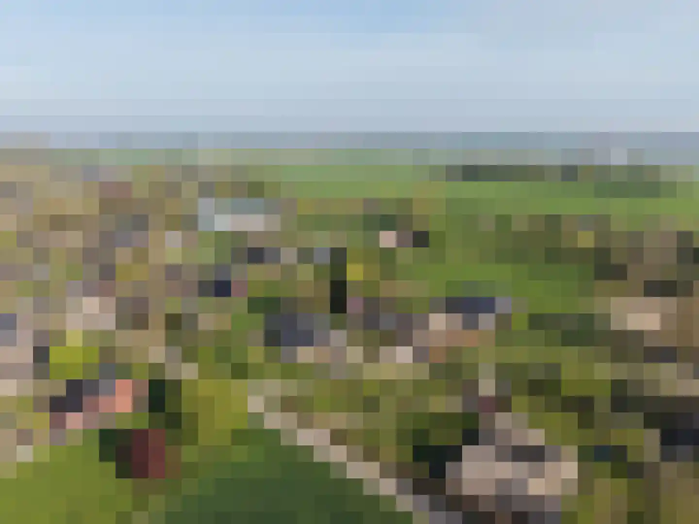 Biezenwaard 4 Winssen thumbnail 90