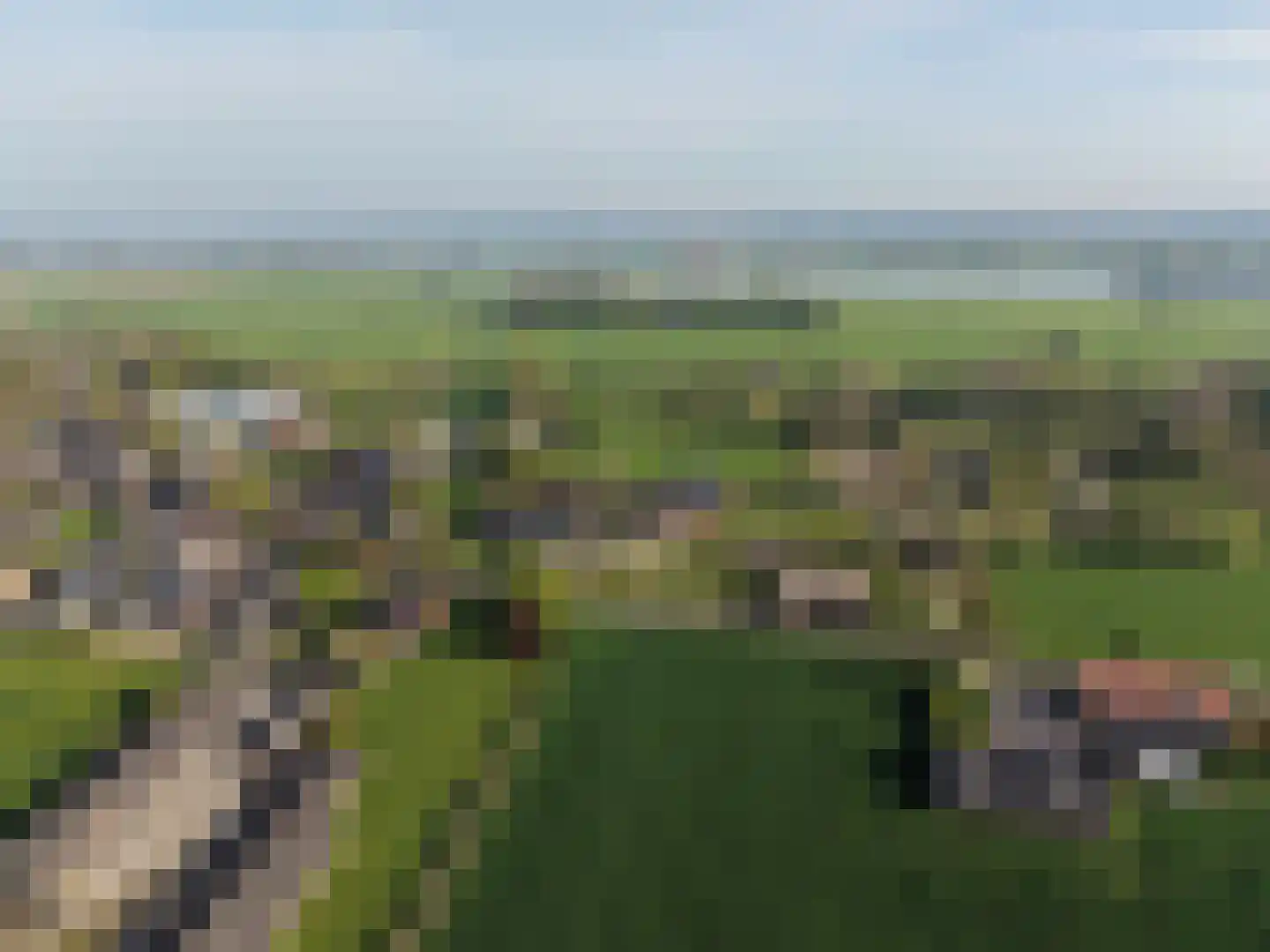 Biezenwaard 4 Winssen thumbnail 91